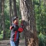 hendroz